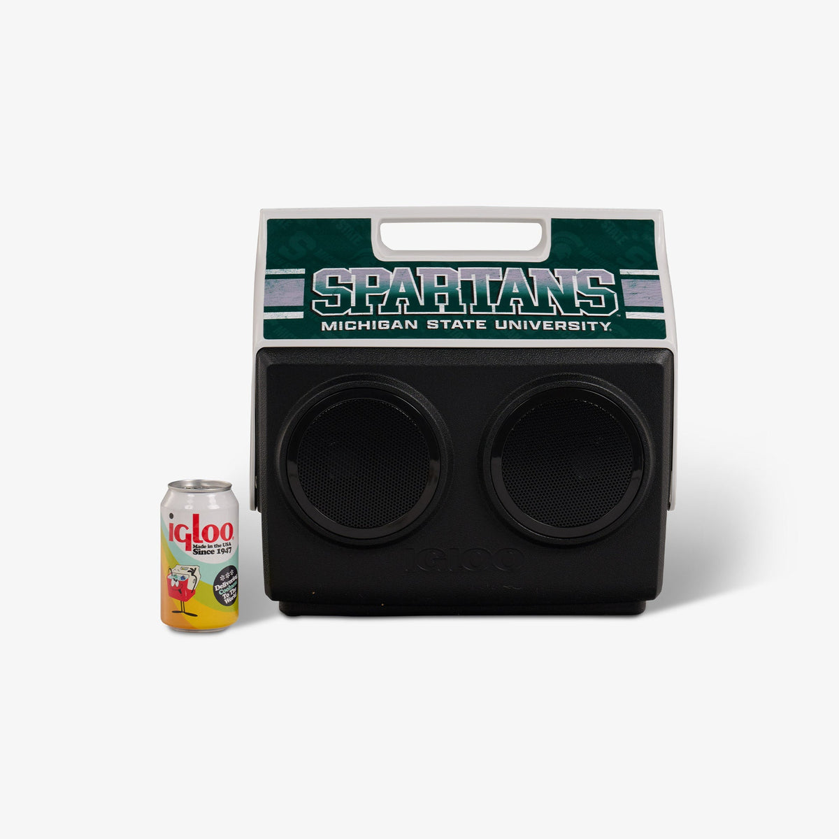michigan-state-university-kooltunes-e8 00027730-P.jpg