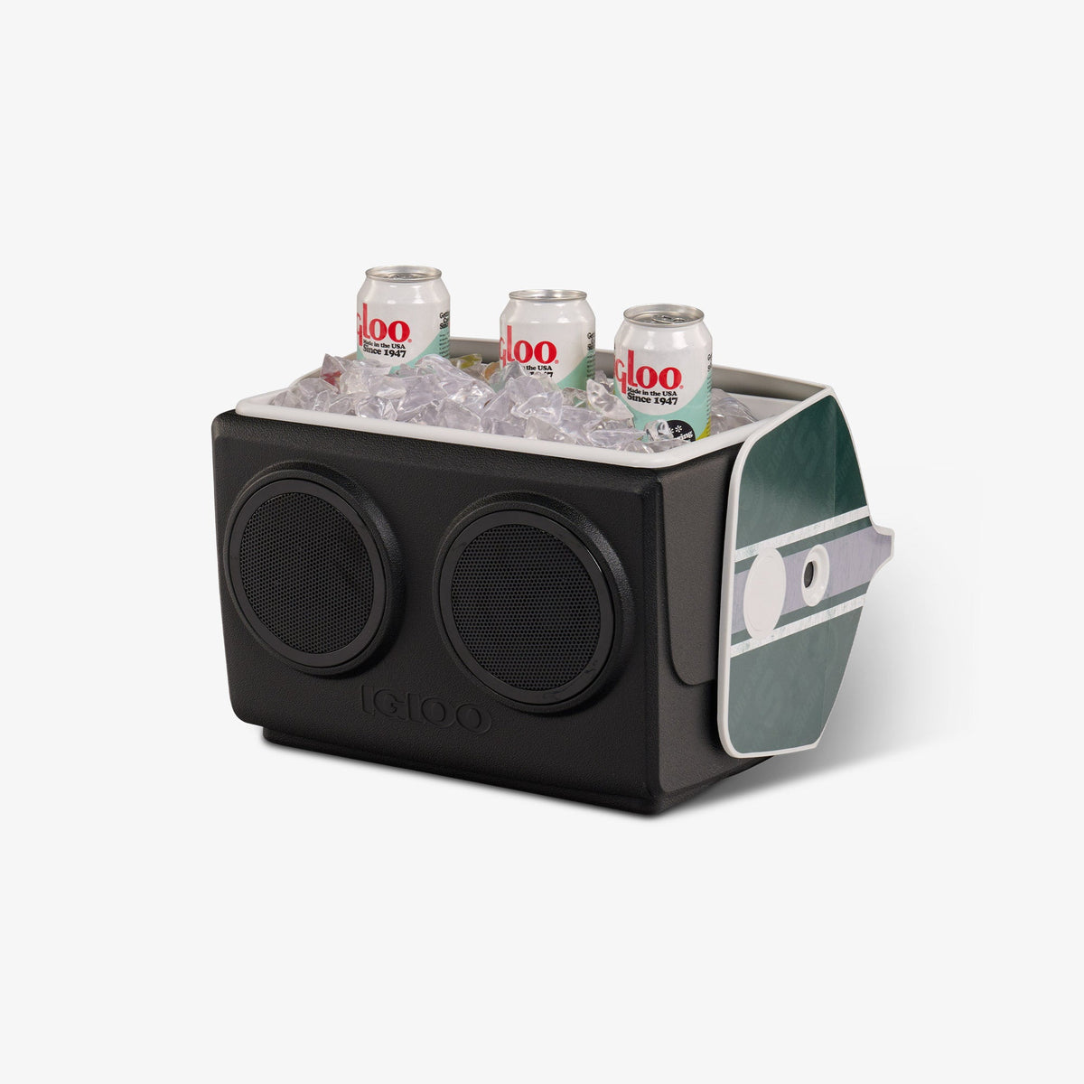 michigan-state-university-kooltunes-e8 00027730-P1.jpg