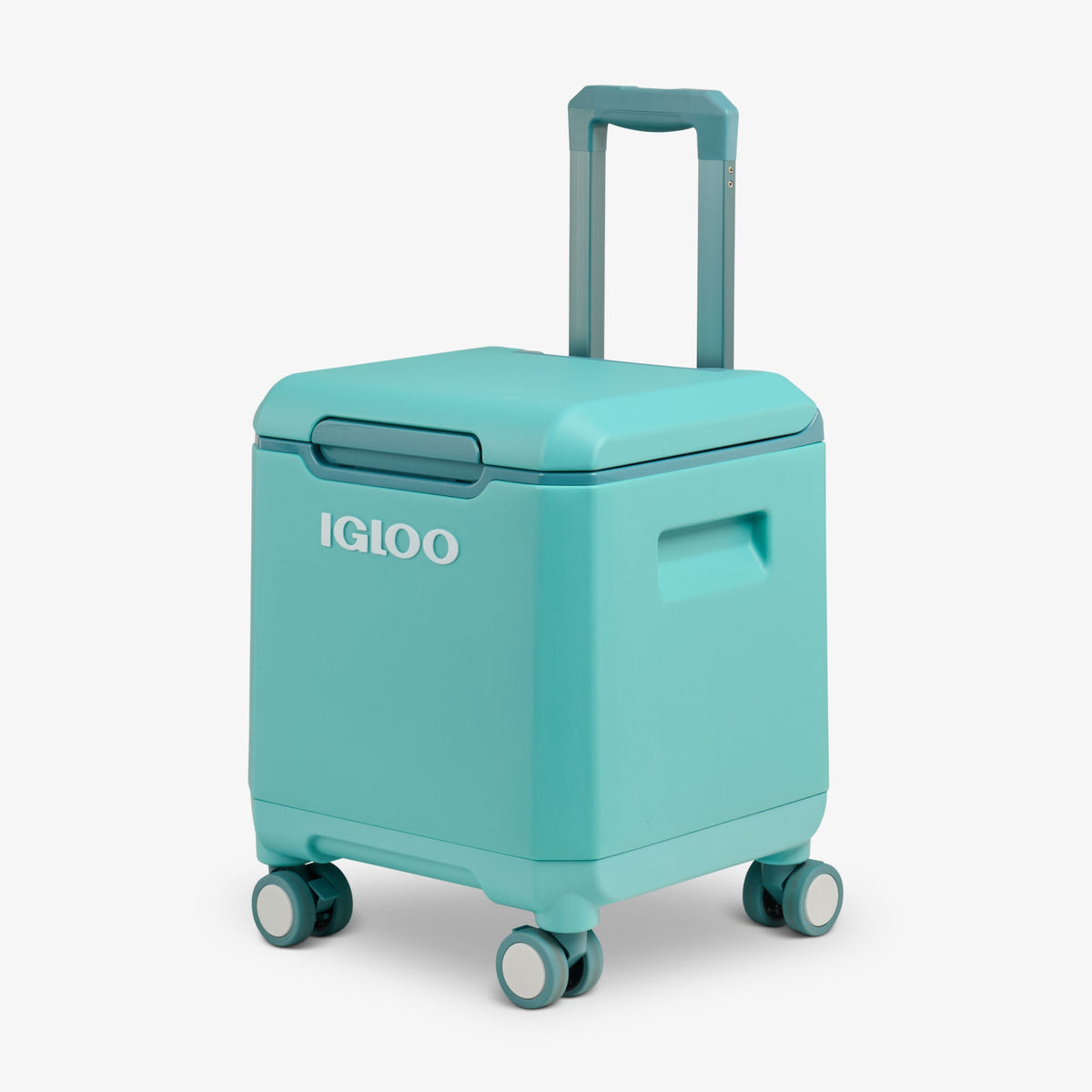 tag-along-too-spinner-cooler-r5 00033184-H3_fdf80c81-356d-4155-97e7-611821b8cef5.jpg