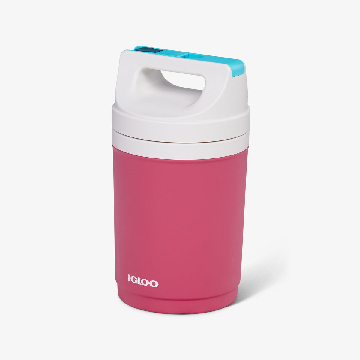 retro-playmate-half-gallon-jug-y8 00070862-H1.jpg